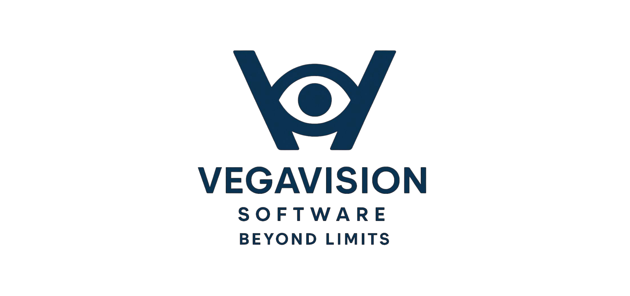 VegaVision Software logo