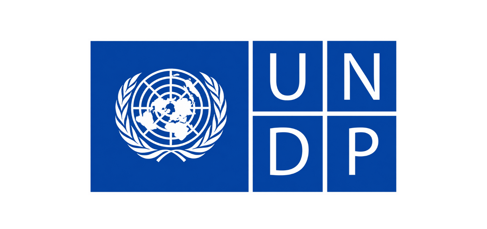 UNDP