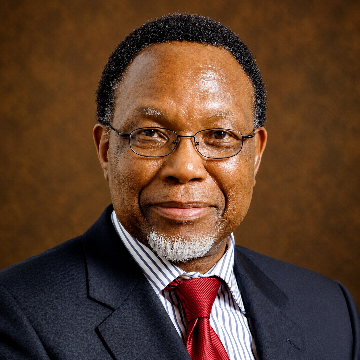 His Excellency Kgalema Motlanthe